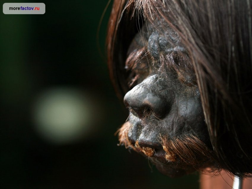 Как создавались Тсантса - высушенные человеческие головы?