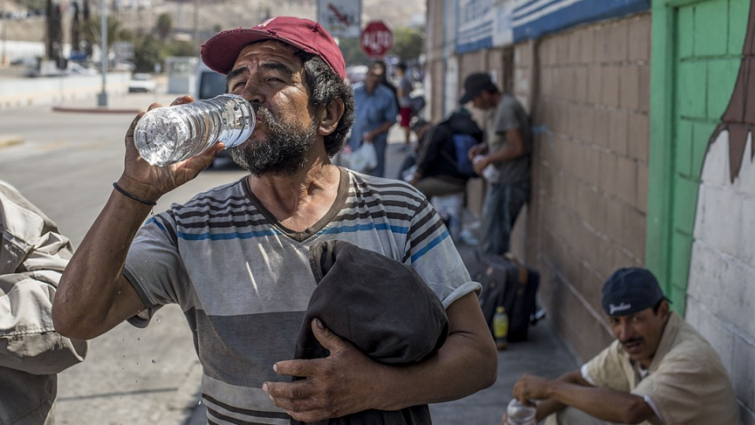 Летние сезоны могут стать невыносимо жаркими для людей: прогнозы ученых