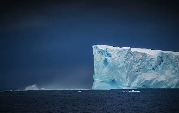 Исследователь океана: Мы едим рыбу с пластиком и ртутью