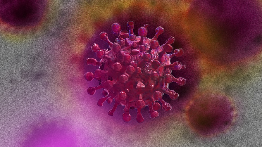 Пожизненного иммунитета нет: люди начали повторно заражаться коронавирусом