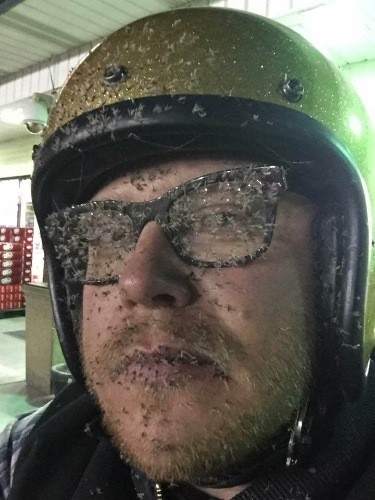 В Луизиане гигантские стаи комаров массово убивают домашних и диких животных