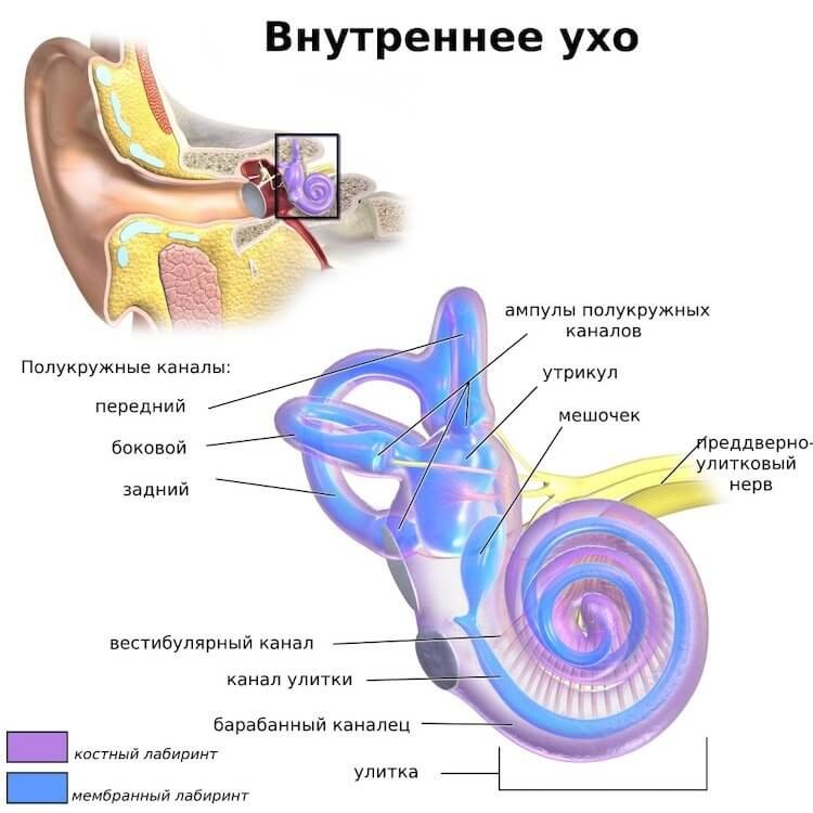 Чувства человека о которых многие не догадываются Чувства человека о которых многие не догадываются