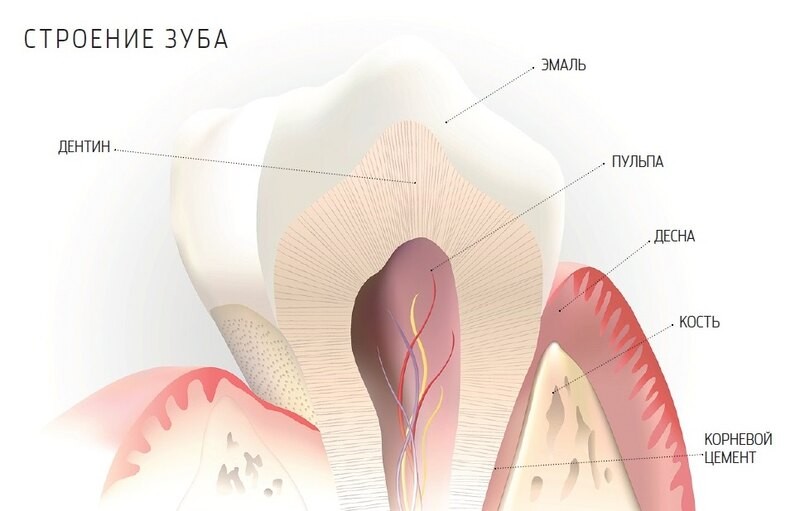 Откуда взялся кариес и можно ли его победить?