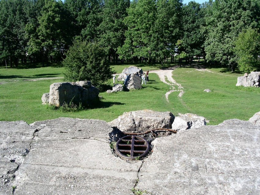 Гитлер во время войны посещал СССР!