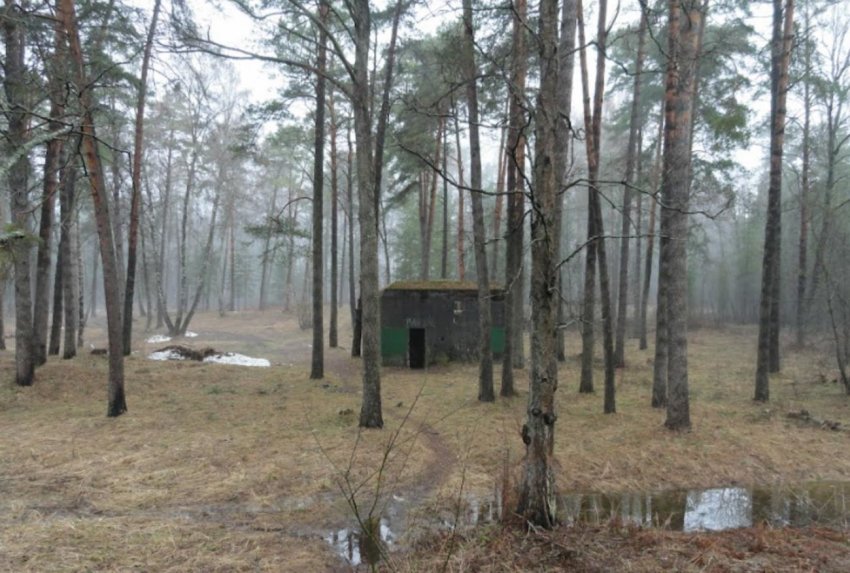 Гитлер во время войны посещал СССР!