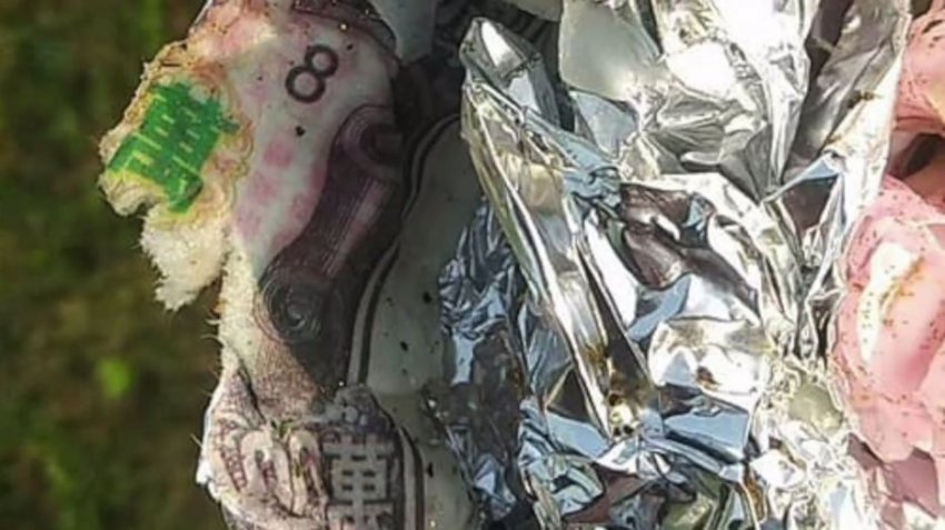 В США мужчина гулял по пляжу и нашел завернутый в фольгу мозг