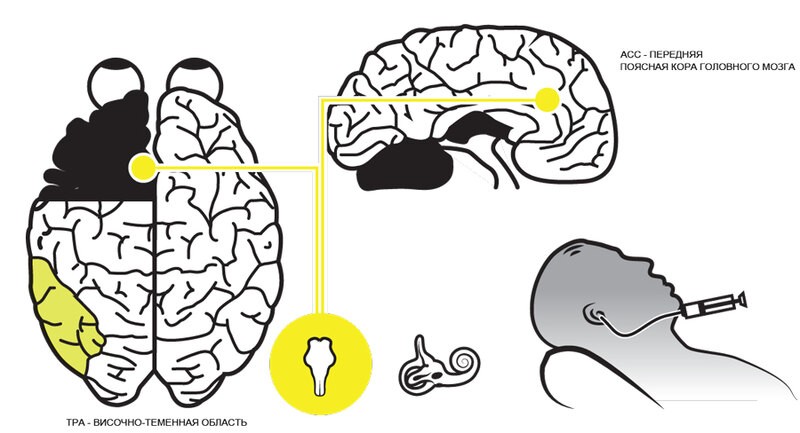 Как обыкновенная вода может влиять на наше сознание