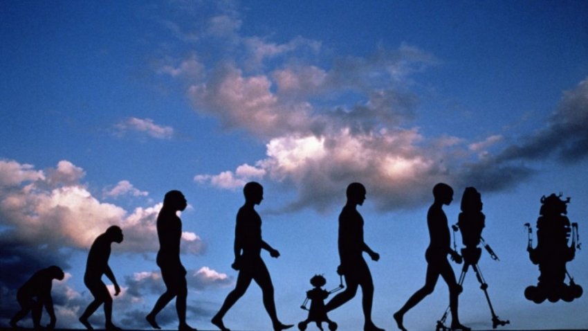 Можно ли предсказать, как люди будут эволюционировать дальше?