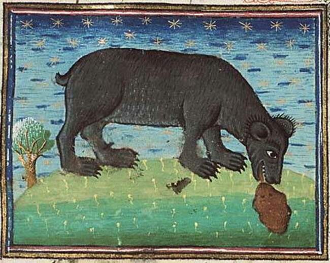 В Средние века царём зверей считали медведя