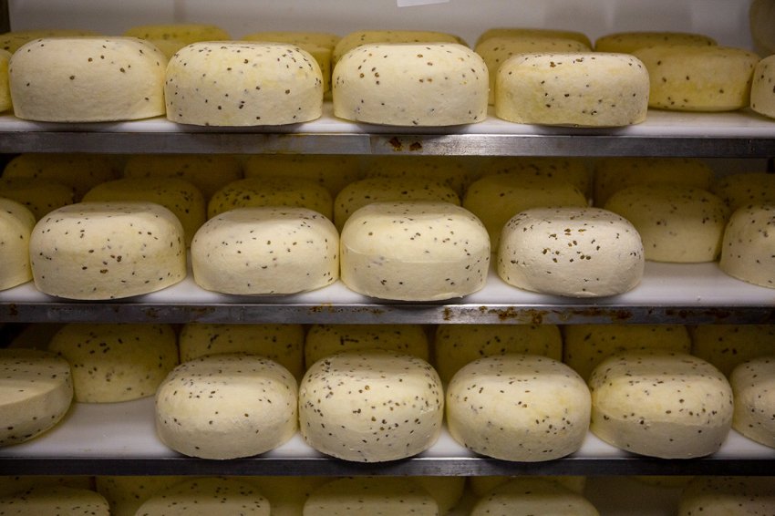 Как британец Джон Кописки переехал в российскую глубинку и стал фермером