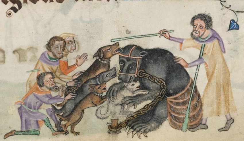 В Средние века царём зверей считали медведя