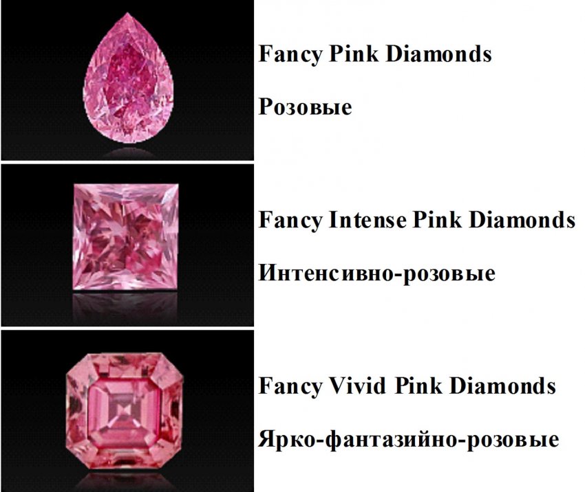 «Призрак розы» история камня и кто владелец самого дорого в мире бриллианта