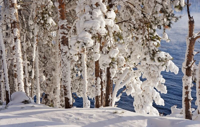 Приметы и поверья в День Анастасии 4 января 2021 года