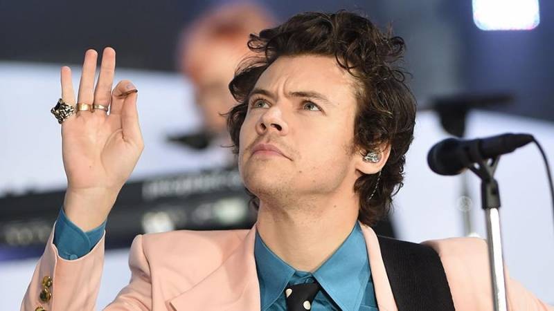 В Голливуде появилась новая пара в лице Гарри Стайлса и Оливии Уайлд