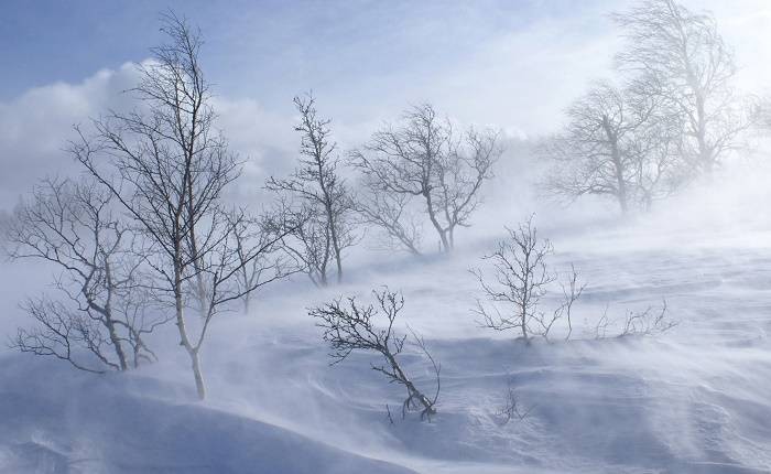 Какой церковный праздник отмечают православные в России 13 января 2021 года