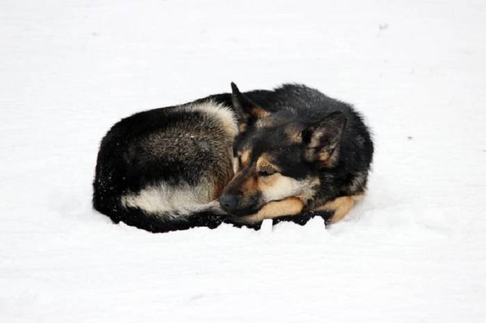 Традиции, обычаи, запреты и приметы Филиппова дня, празднуемого ежегодно 22 января
