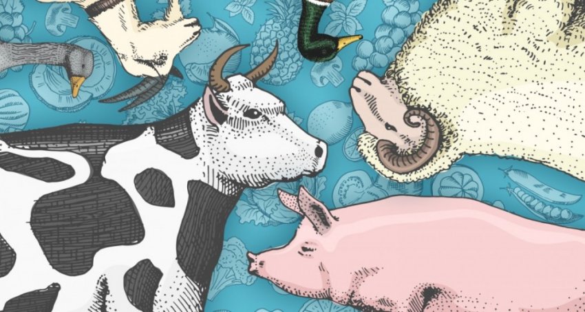 Веганы: как отказ от мяса может привести к экологической катастрофе