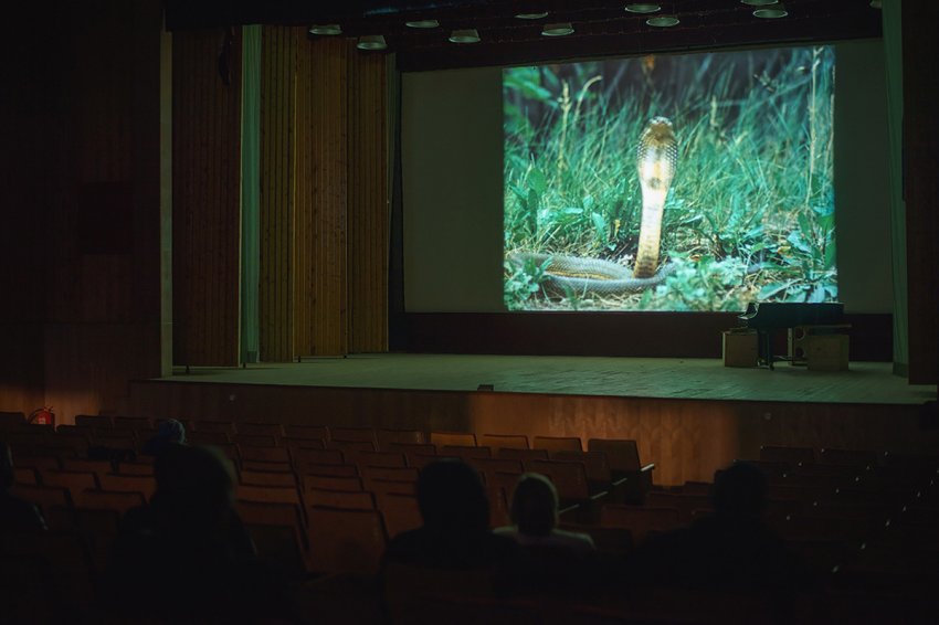 Баренцбург: каково жить в арктическом посёлке