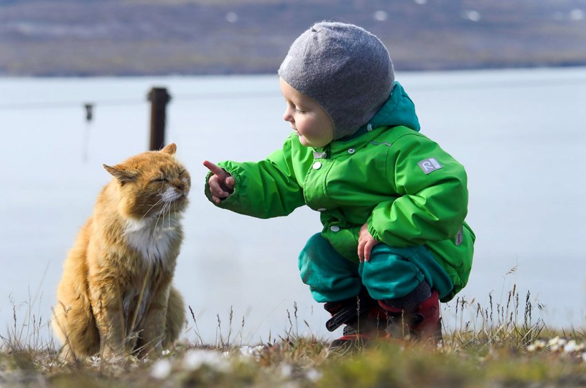 Баренцбург: каково жить в арктическом посёлке