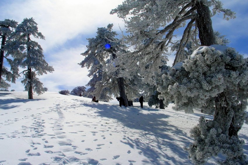 Приметы и поверья на 17 января 2021 года, которые помогут распланировать день