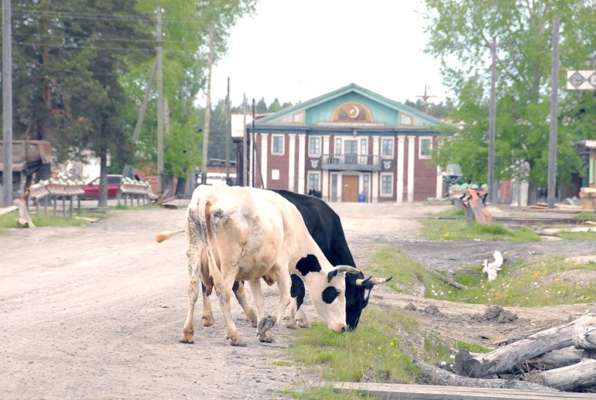 Традиции и обряды на праздник в честь святой Нины, который отмечают 27 января 2021 года