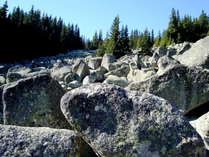 Ценность и загадка "Каменной реки"