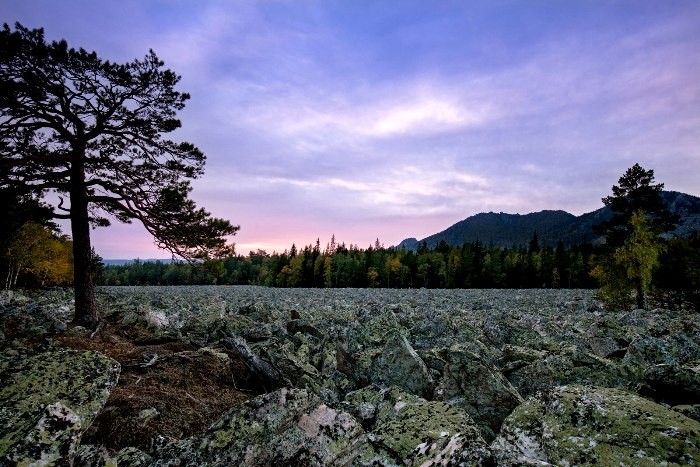 Ценность и загадка "Каменной реки"