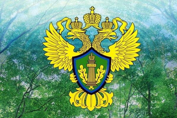Граждане РФ смогут получать доступ к достоверной информации об экологии Граждане РФ смогут получать доступ к достоверной информации об экологии