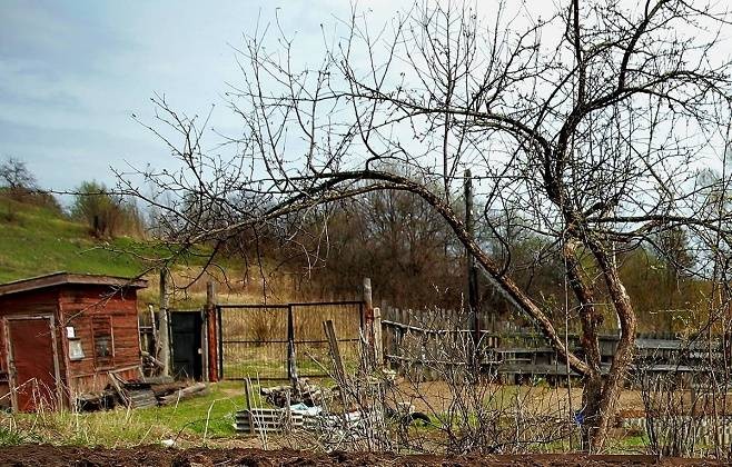 В России предложили вовлекать в хозяйственный оборот заброшенные садовые участки В России предложили вовлекать в хозяйственный оборот заброшенные садовые участки