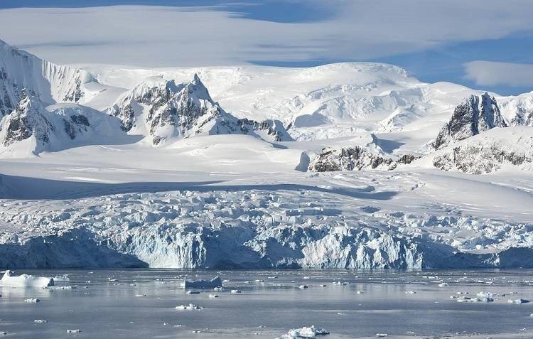 В антарктическом шельфовом леднике были обнаружены неизвестные науке животные В антарктическом шельфовом леднике были обнаружены неизвестные науке животные