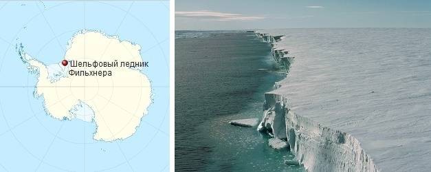 В антарктическом шельфовом леднике были обнаружены неизвестные науке животные В антарктическом шельфовом леднике были обнаружены неизвестные науке животные