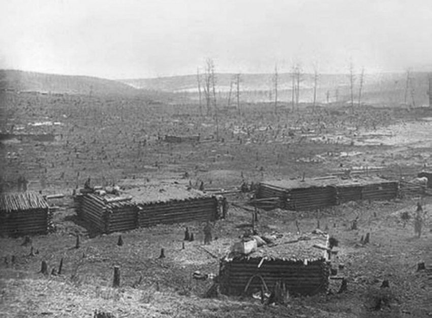 Как русские нелегально добывали китайское золото