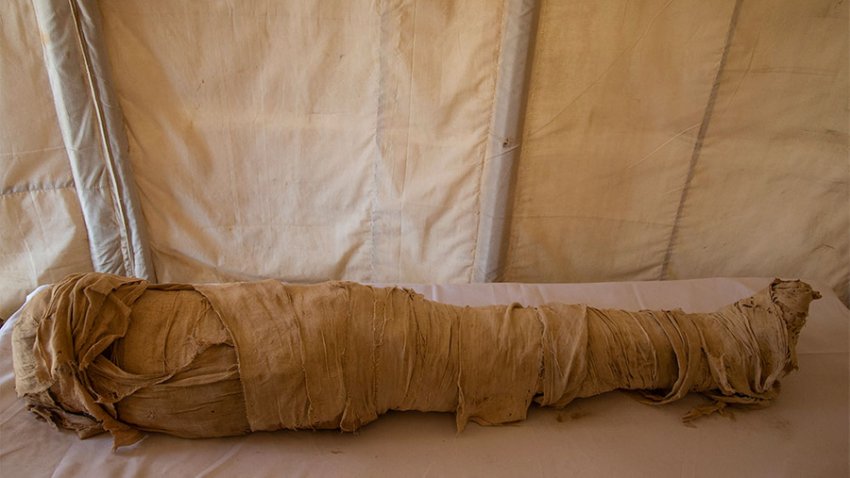 Десятки саркофагов и супруга фараона, или Что раскопали в египетском некрополе