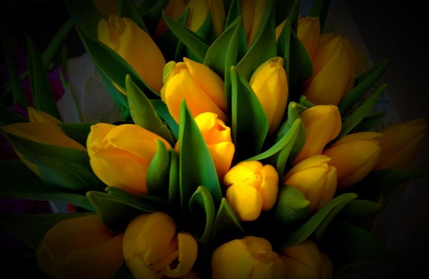 Странные манеры жителей разных стран мира