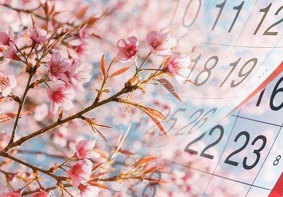 Приметы и запреты, существующие на 31 марта Приметы и запреты, существующие на 31 марта