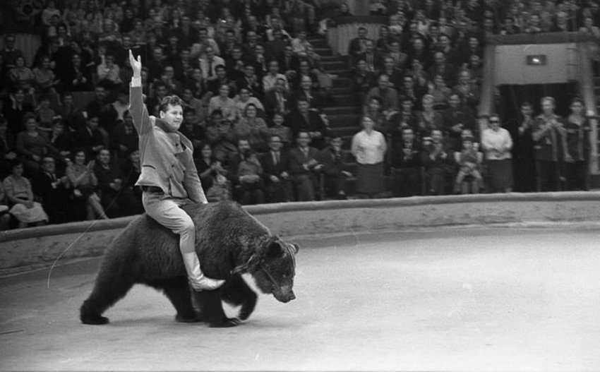 Самые странные налоги в истории России