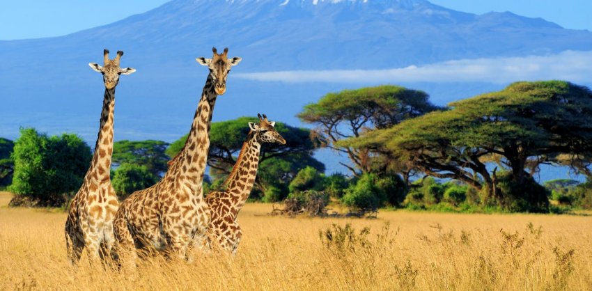 Подводные камни возобновляемой электроэнергетики