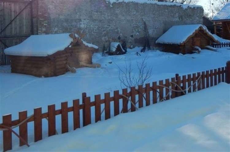 Стая лебедей, замерзающих на пруду, благополучно перезимовала, благодаря добрым людям