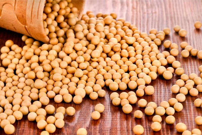 Медицинские работники объяснили, какие продукты вредны для щитовидной железы, а какие полезны Медицинские работники объяснили, какие продукты вредны для щитовидной железы, а какие полезны