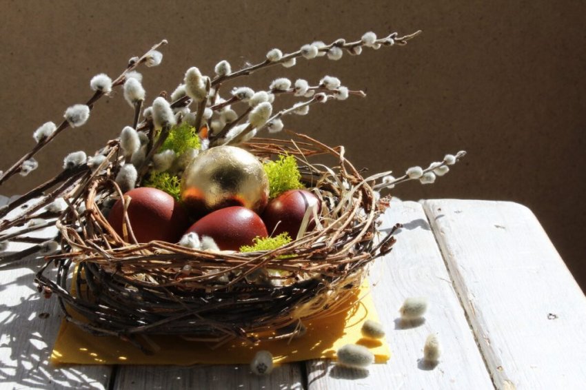 Что можно сажать на Вербной неделе в 2021 году