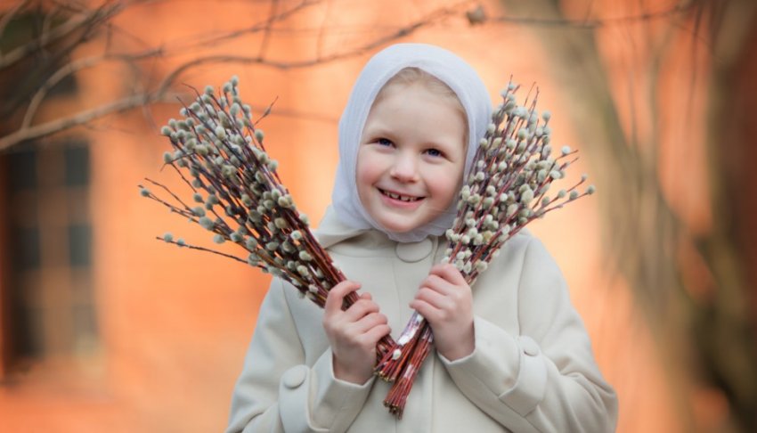 Что можно сажать на Вербной неделе в 2021 году