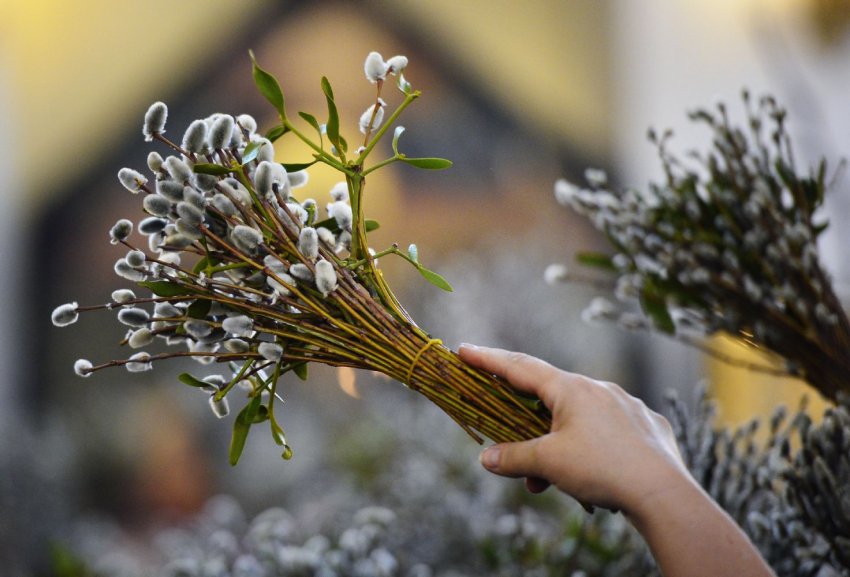 Вербное воскресенье — поздравления, короткие СМС, видео открытки