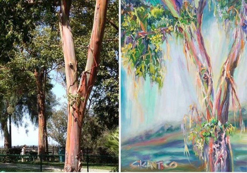 10 редких и удивительных способностей человеческого организма