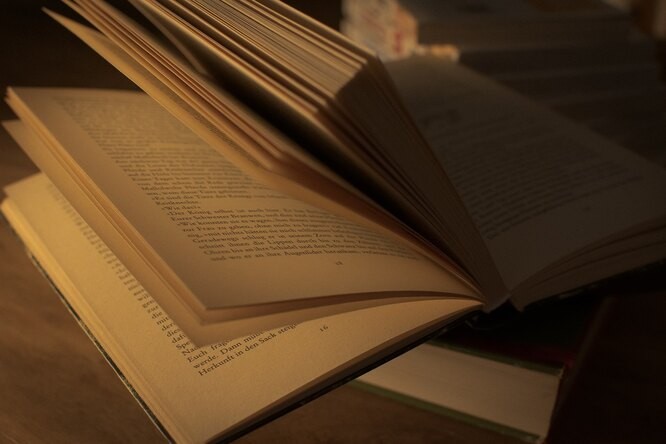 Человеческий язык: одна из главных мировых загадок Человеческий язык: одна из главных мировых загадок