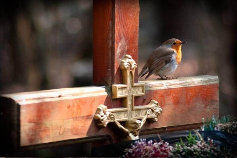 В регионах России в 2021 году 11 мая объявили выходным днем из-за церковного праздника Радоницы