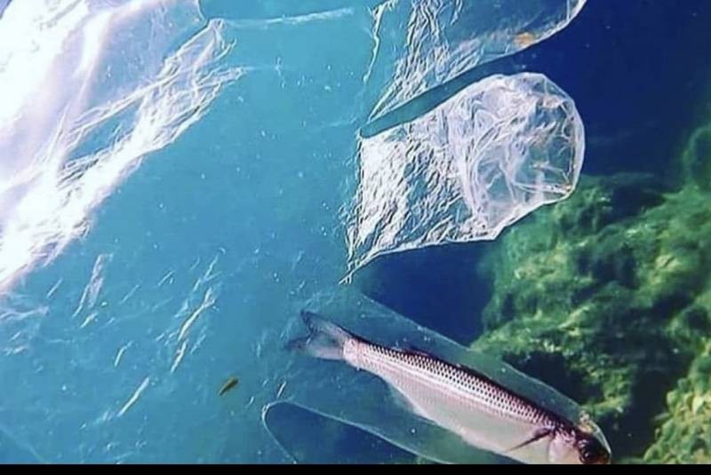 Ученые «взвесили» пластик в мировом океане и ужаснулись полученному результату