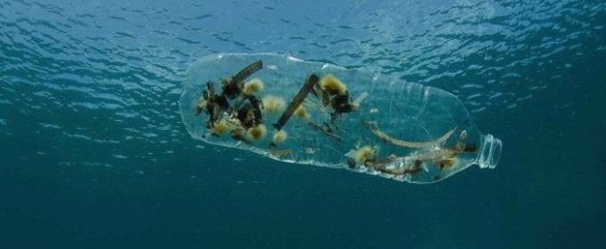 Ученые «взвесили» пластик в мировом океане и ужаснулись полученному результату