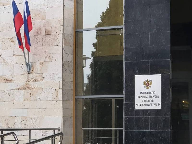 В Минприроды были объяснены правила сбора лесных ягод и грибов по законам РФ