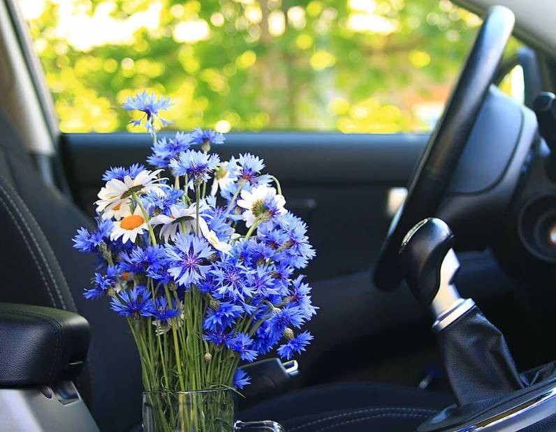 Автомобилисты могут совершать ошибки, повреждающие двигатель в летнее время