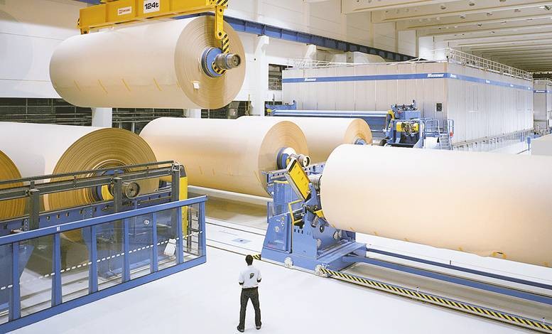 Стоит ли запасаться туалетной бумагой в свете роста мировых цен на целлюлозу